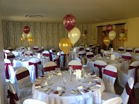 Special Occasions   Balloon Decorating and Chair Cover Hire 1068110 Image 1